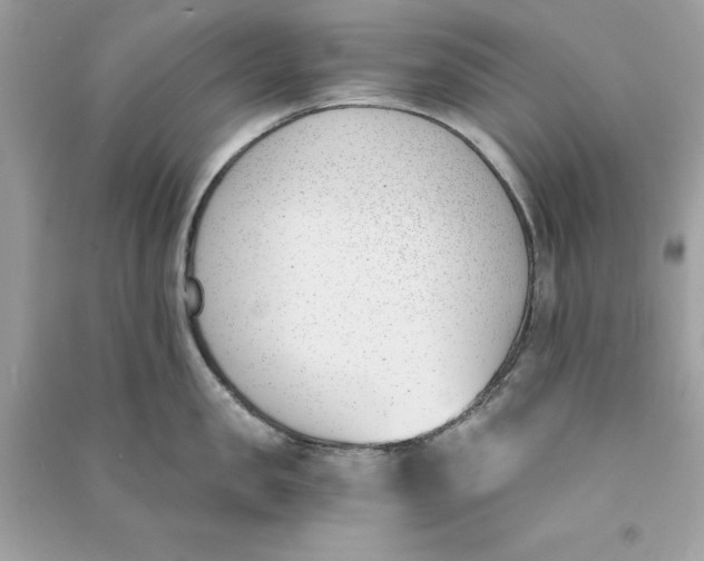 X0000090740957200708101700