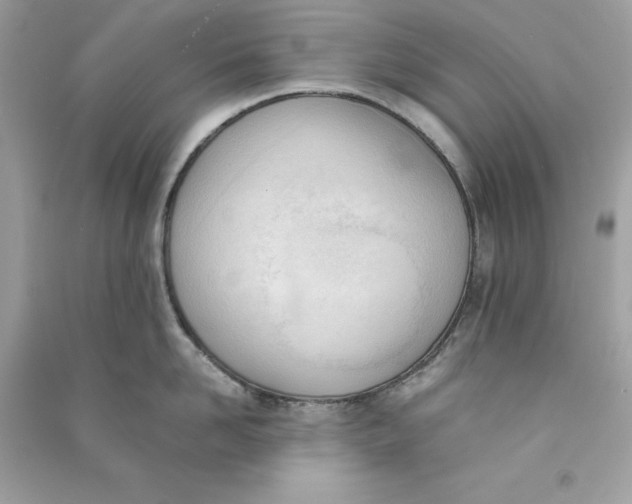 X0000090740958200708101700