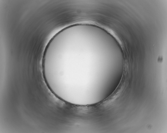 X0000090740959200708101700