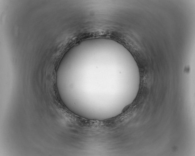 X0000090740961200708101659