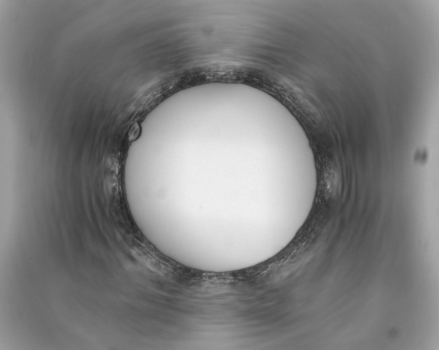 X0000090740964200708101659