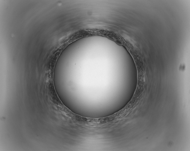 X0000090740965200708101659