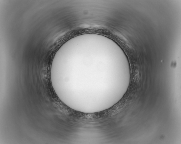 X0000090740966200708101659