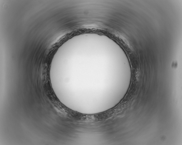 X0000090740968200708101659