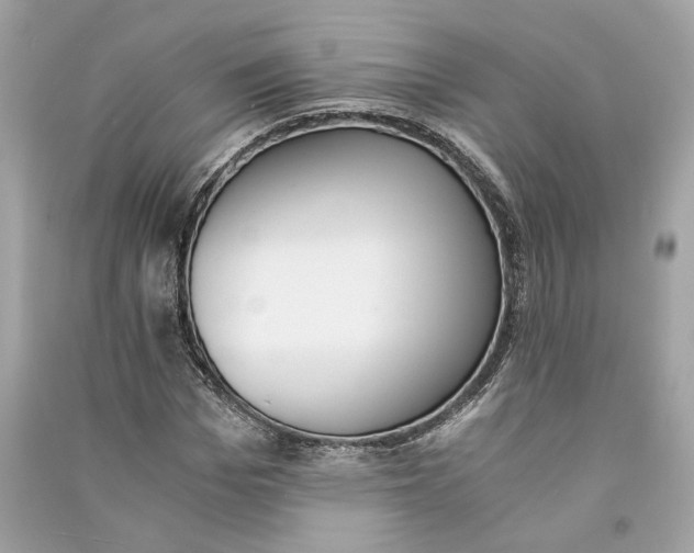 X0000090740969200708101659