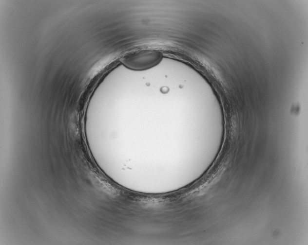 X0000090740970200708101659