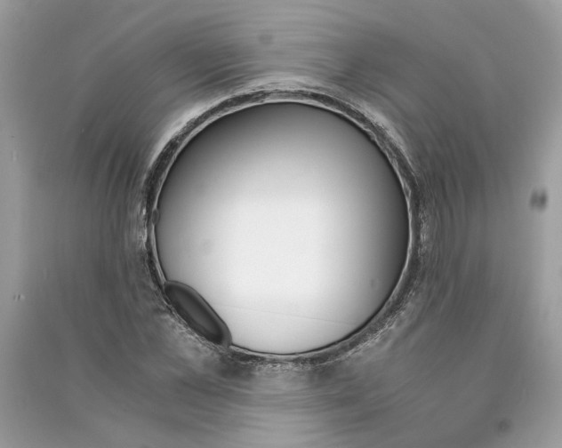 X0000090740973200708101659