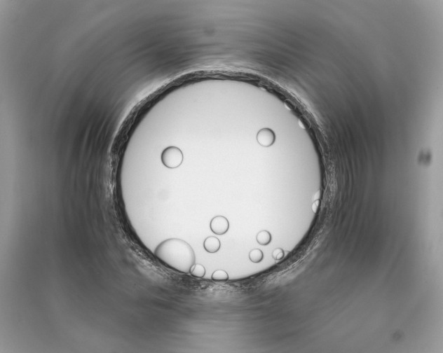 X0000090740974200708101659