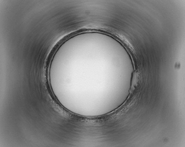 X0000090740976200708101659