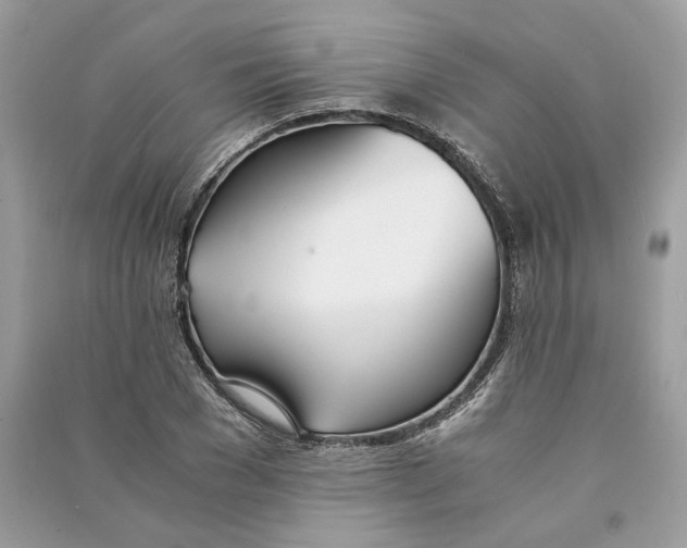 X0000090740977200708101659