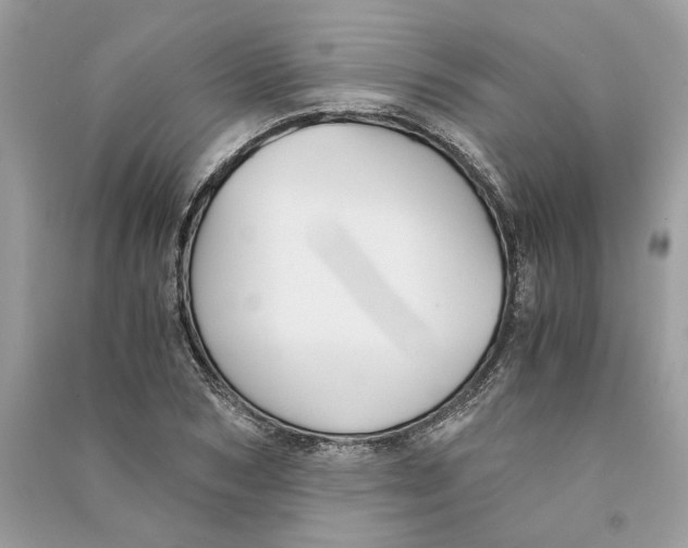 X0000090740978200708101659