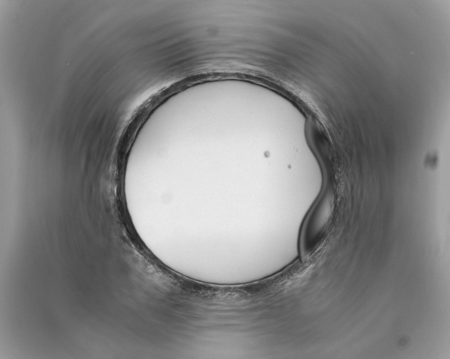 X0000090740979200708101659