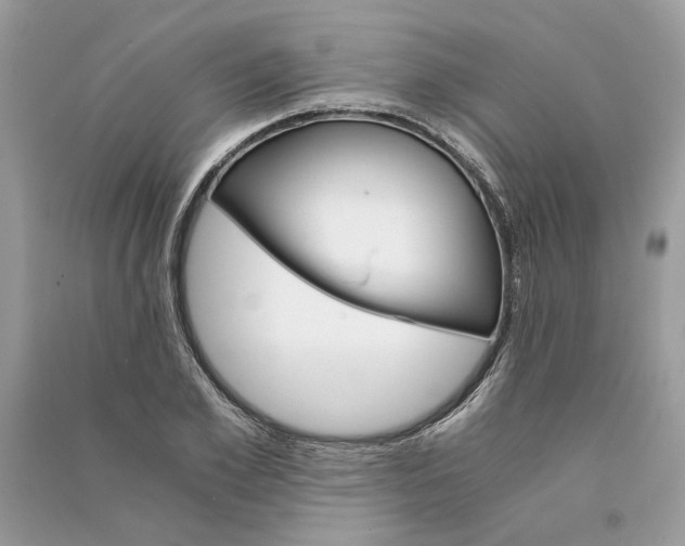 X0000090740981200708101659