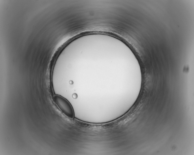 X0000090740982200708101659