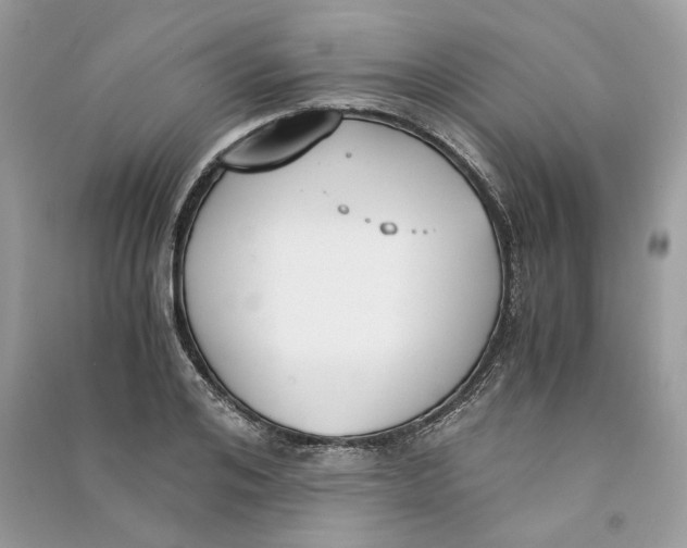 X0000090740984200708101659