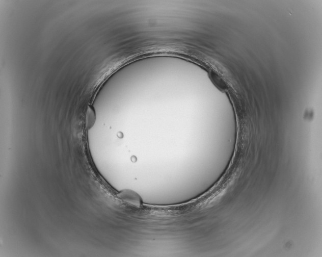 X0000090740985200708101659