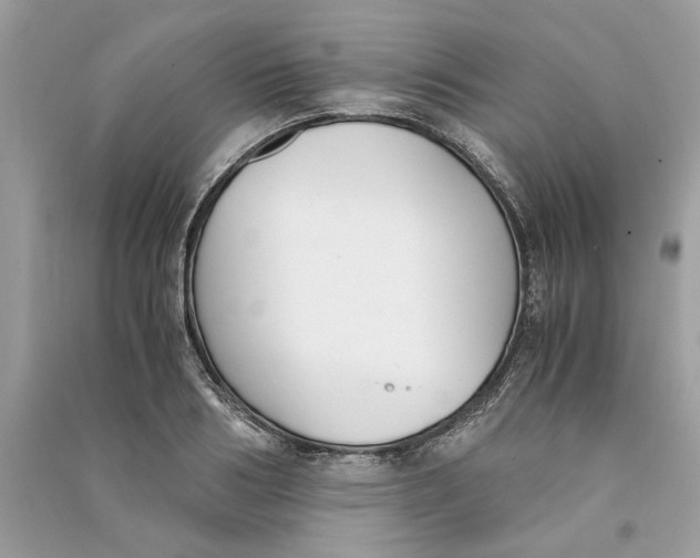 X0000090740986200708101659