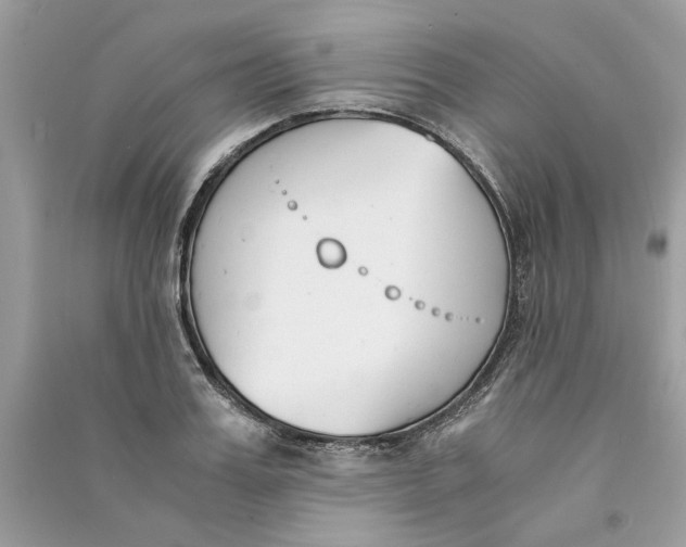 X0000090740987200708101659