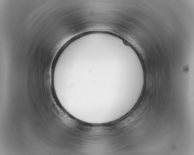 X0000090740988200708101659