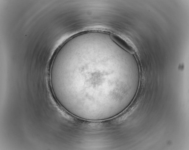 X0000090740989200708101659