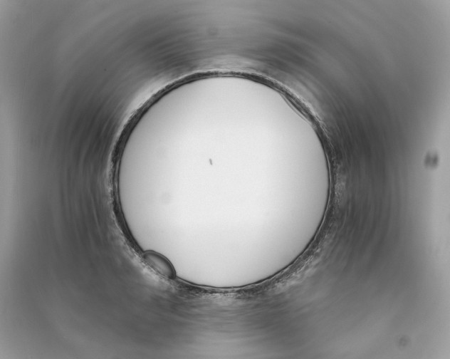 X0000090740990200708101659