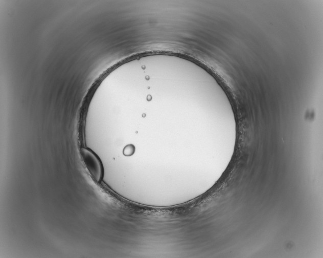 X0000090740991200708101659