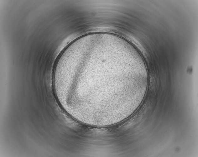 X0000090740994200708101659