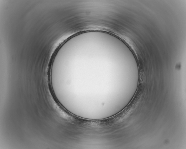 X0000090740995200708101659