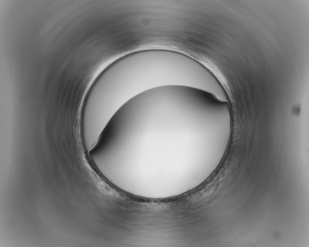 X0000090740996200708101659