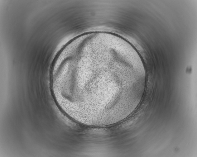 X0000090740998200708101659