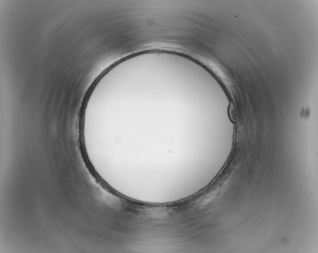 X0000090740999200708101658