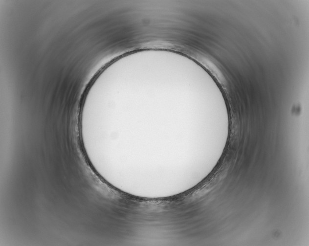 X0000090741000200708101658