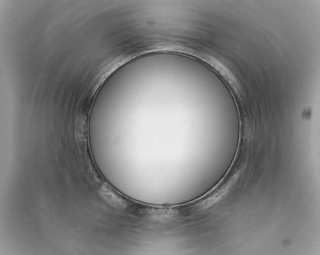 X0000090741001200708101658