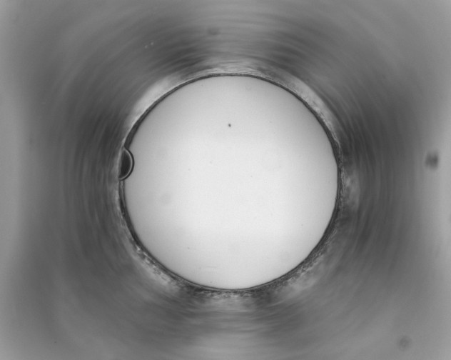 X0000090741002200708101658