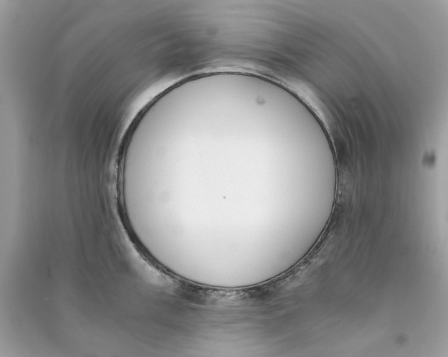 X0000090741003200708101658