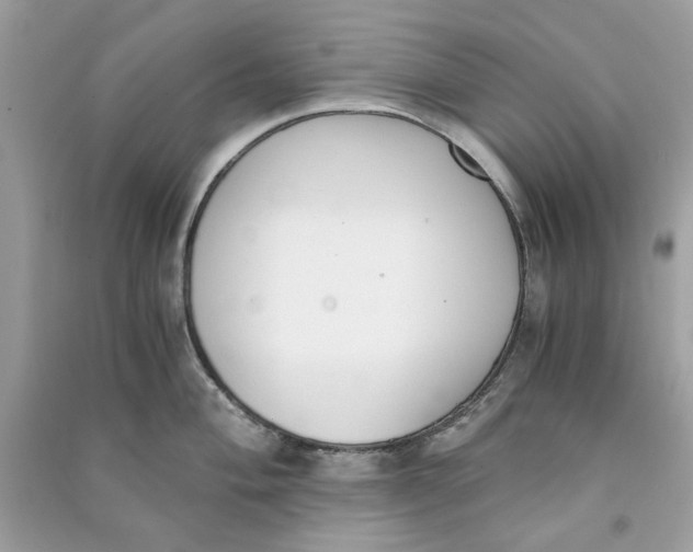 X0000090741004200708101658