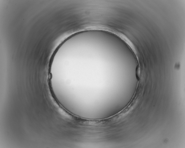 X0000090741005200708101658