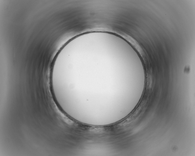 X0000090741006200708101658