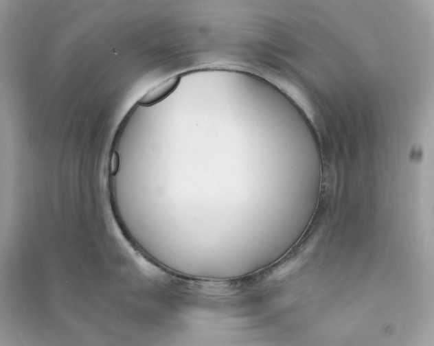 X0000090741007200708101658