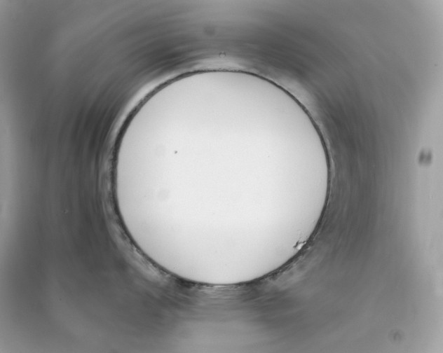 X0000090741008200708101658