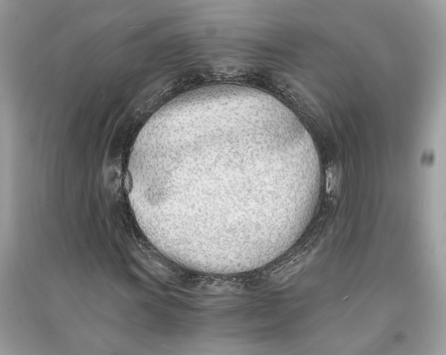 X0000090741011200708101658