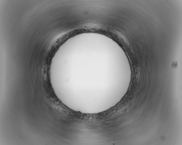 X0000090741016200708101658