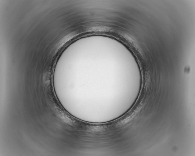 X0000090741017200708101658