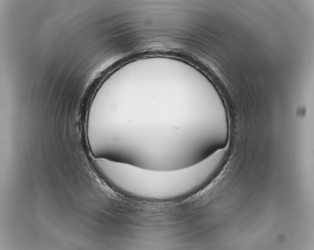 X0000090741018200708101658