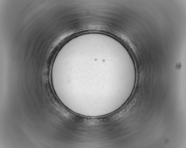 X0000090741019200708101658