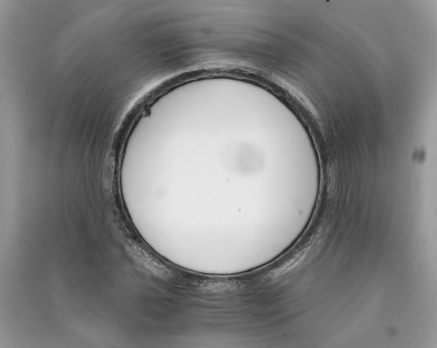 X0000090741021200708101658