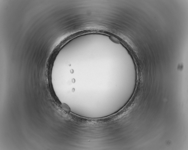 X0000090741022200708101658