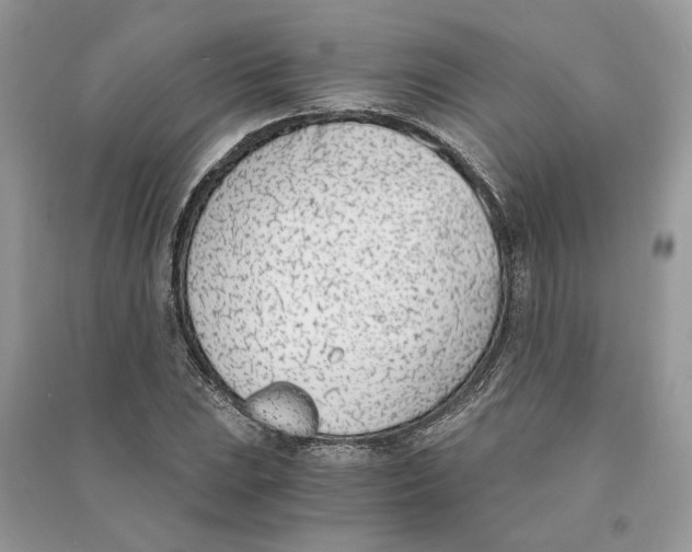 X0000090741023200708101658