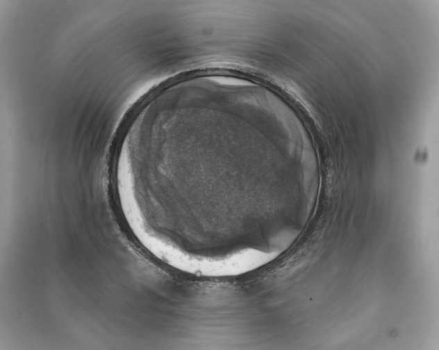 X0000090741024200708101658