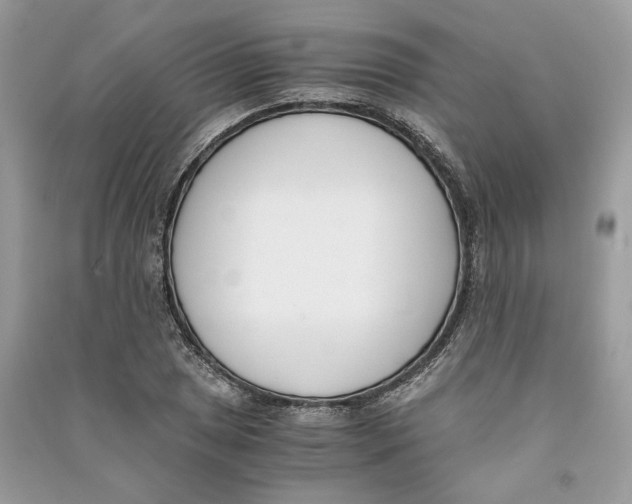 X0000090741025200708101658